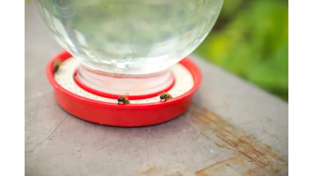Mason Jar Bee Feeder DIY