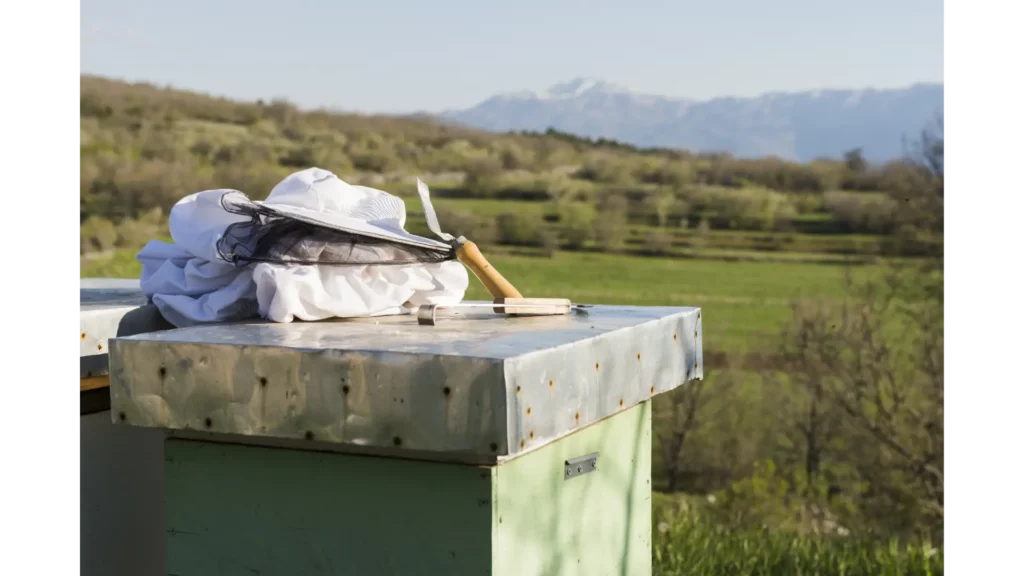 Tuscarawas County Beekeepers