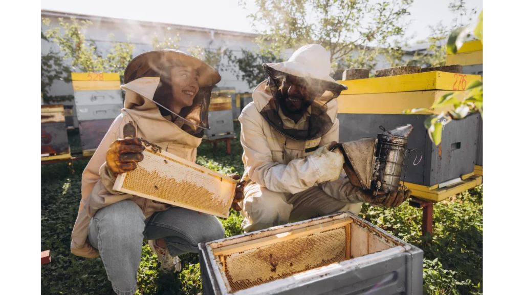 UK Beekeeping Forum