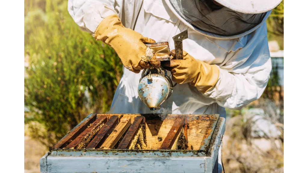 UK Beekeeping Forum