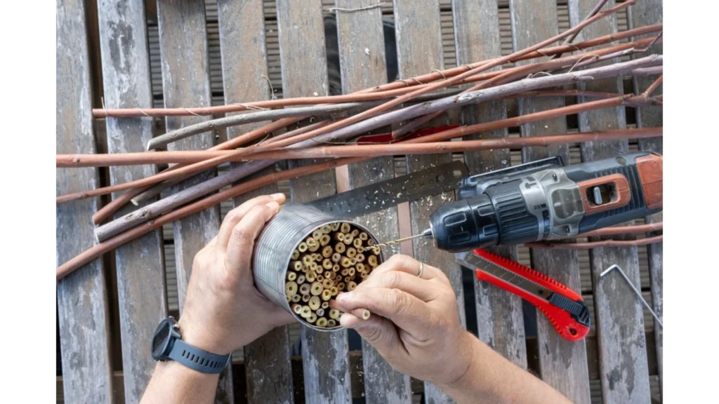 Carpenter Bee Homes DIY